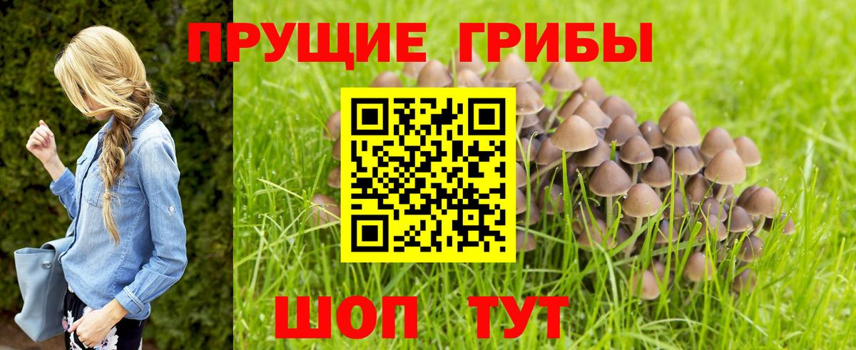 Псилоцибиновые грибы MAGIC MUSHROOMS  Псилоцибиновые грибы мухоморы  хочу наркоту  Лиски  Вход с VPN 